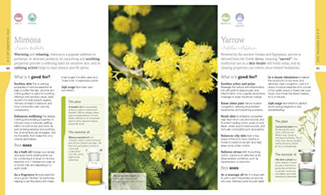 Neal's Yard Remedies Essential Oils - Retail Maharaj