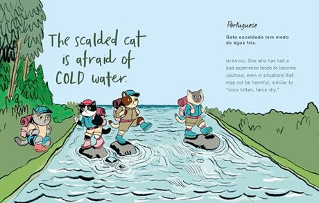 Cat Got Your Tongue?: Curious Feline Phrases from Around the World - Retail Maharaj