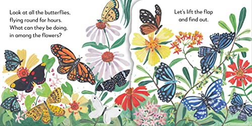 Pop-Up Peekaboo! Butterfly: Pop-Up Surprise Under Every Flap! - Retail Maharaj