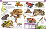 Animal Knowledge Genius!: A Quiz Encyclopedia to Boost Your Brain - Retail Maharaj