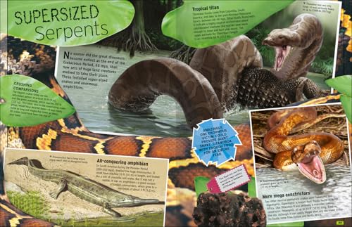 The Animal Book - Retail Maharaj