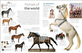 Horse - Retail Maharaj