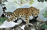 Through the Animal Kingdom: Discover Amazing Animals and Their Remarkable Homes (Journey Through) - Retail Maharaj