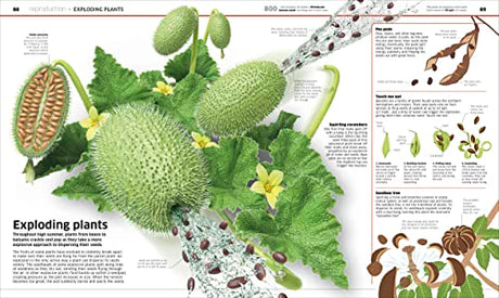 Knowledge Encyclopedia Plants and Fungi!: Our Growing World as You've Never Seen It Before - Retail Maharaj