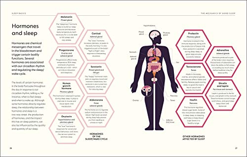 The Science of Sleep: Stop Chasing a Good Night’s Sleep and Let It Find You - Retail Maharaj