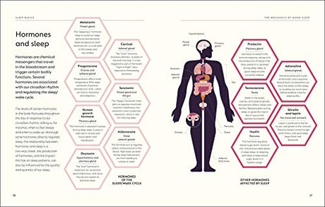 The Science of Sleep: Stop Chasing a Good Night’s Sleep and Let It Find You - Retail Maharaj