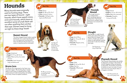 My Book of Dogs and Puppies: A Fact-Filled Guide to Your Canine Friends - Retail Maharaj