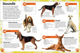 My Book of Dogs and Puppies: A Fact-Filled Guide to Your Canine Friends - Retail Maharaj