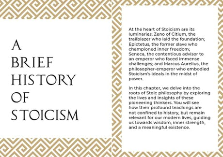 The Stoic's Guide to Life: Timeless Wisdom on the Art of Living - Retail Maharaj