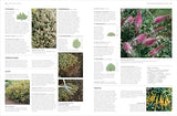 RHS Pruning and Training: What, When, and How to Prune Over 800 Plants - Retail Maharaj