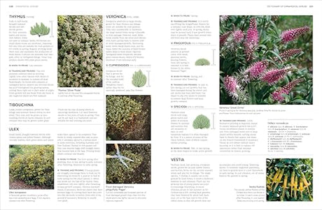 RHS Pruning and Training: What, When, and How to Prune Over 800 Plants - Retail Maharaj