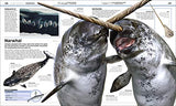 Knowledge Encyclopedia: Ocean! Our Watery World As You've Never Seen It Before - Retail Maharaj