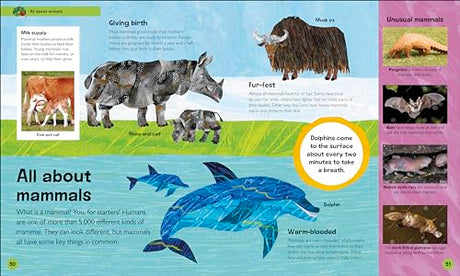 The Very Hungry Caterpillar's Very First Animal Encyclopedia: An Introduction to Animals, For VERY Hungry Young Minds (The Very Hungry Caterpillar Encyclopedias) - Retail Maharaj
