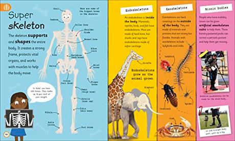My Very Important Human Body Encyclopedia: For Little Learners Who Want to Know About Their Bodies - Retail Maharaj