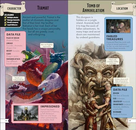 Dungeons & Dragons Pocket Expert - Retail Maharaj