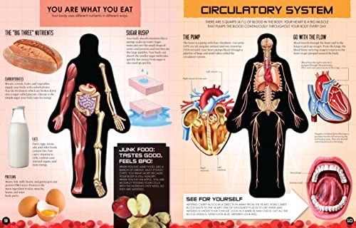 Inside Out Human Body - Retail Maharaj