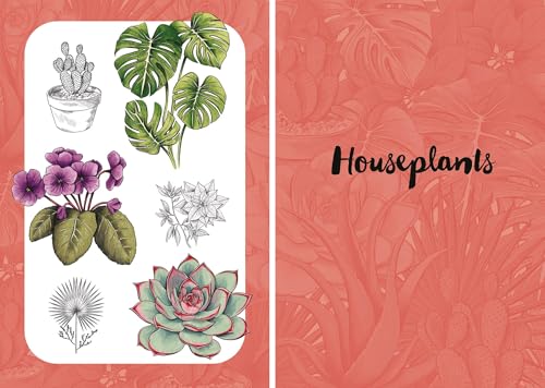 Botanicals: Draw over 50 Plants in 10 Easy Steps (10 Step Drawing) - Retail Maharaj
