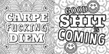 F*ck the Colouring Book | Exercising Your Creativity | For Adults Only - Retail Maharaj
