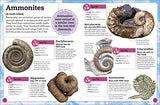 My Book of Fossils - Retail Maharaj