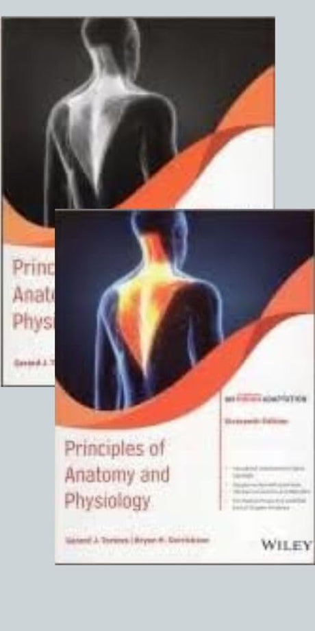 Principles of Anatomy and Physiology with Study Guide An Indian Adaptation 16th Edition - Retail Maharaj