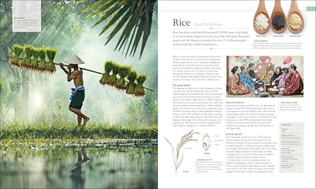 The Food Book: The Stories, Science, and History of What We Eat - Retail Maharaj