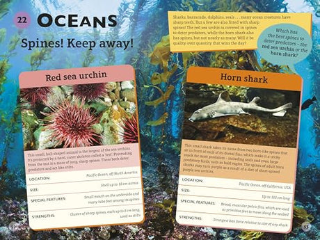 Who Wins? Planet Earth III: A fact-packed interactive game book - Retail Maharaj