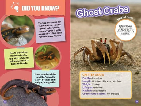 INDIA’S COOLEST NOCTURNAL ANIMALS : Wild About India - Engaging Book for Kids (Ages 5-15) - Fun Facts, Trivia Questions and Answers to Teach Your Children about the Animal Kingdom - Retail Maharaj