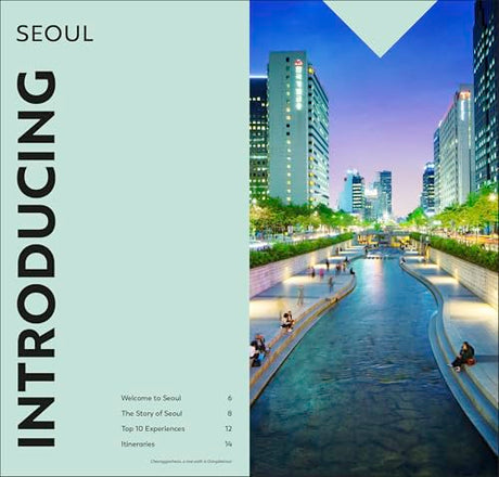 DK Top 10 Seoul - Retail Maharaj