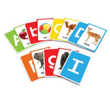 Amazing Flash Cards Alphabet: Early Development of Preschool Toddler (55 Cards) - Retail Maharaj