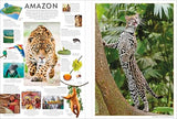 Eyewitness Encyclopedia Poster Book: More Than 30 Reversible Tear-Out Posters (DK Eyewitness) - Retail Maharaj