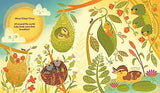 What's Inside A Bird's Nest?: And Other Questions About Nature & Life Cycles - Retail Maharaj