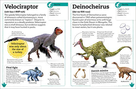 My Book of Dinosaurs and Prehistoric Life: Animals and plants to amaze, surprise, and astonish! - Retail Maharaj