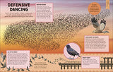 How Not to Get Eaten: More than 75 Incredible Animal Defenses (Wonders of Wildlife) - Retail Maharaj
