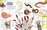 Animal Knowledge Genius!: A Quiz Encyclopedia to Boost Your Brain - Retail Maharaj