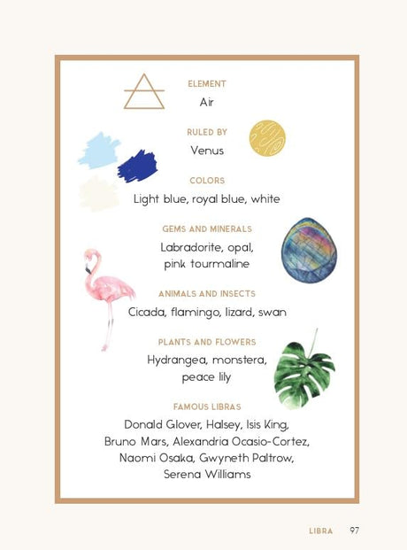 The Magic of Astrology: What Your Zodiac Sign Says About You (and Everyone You Know) - Retail Maharaj