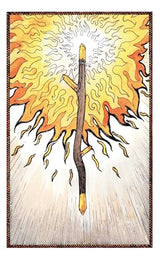 Elemental Power Tarot: Includes a full deck of 78 cards and a 64-page illustrated book - Retail Maharaj
