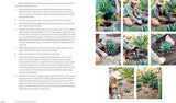 Striking Succulent Gardens: Plants and Plans for Designing Your Low-Maintenance Landscape [A Gardening Book] - Retail Maharaj