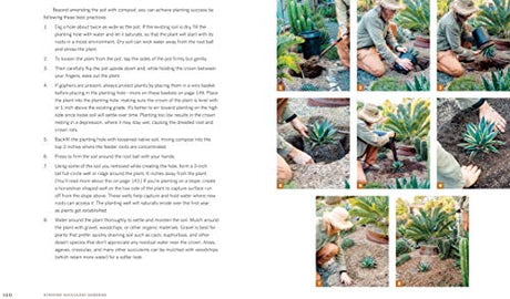 Striking Succulent Gardens: Plants and Plans for Designing Your Low-Maintenance Landscape [A Gardening Book] - Retail Maharaj