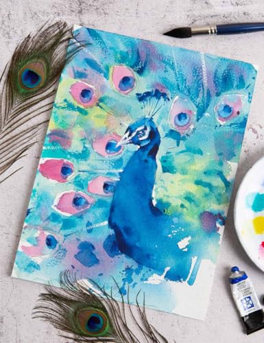 Simply Paint Birds: A Complete Watercolour Course for Beginners - Retail Maharaj