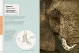 Ben Rothery's Weird and Wonderful Animals - Retail Maharaj
