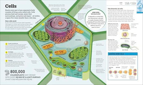 How Science Works: The Facts Visually Explained (DK How Stuff Works) - Retail Maharaj