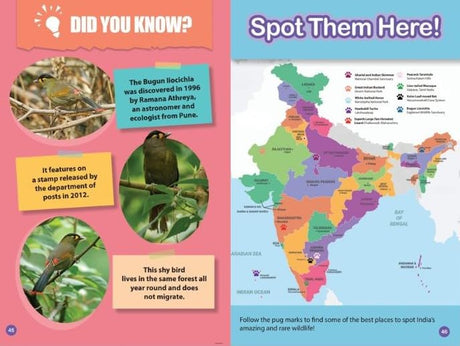 INDIA’S MOST ENDANGERED ANIMALS : Wild About India - Engaging Book for Kids (Ages 5-15) - Fun Facts, Trivia Questions and Answers to Teach Your Children about the Animal Kingdom - Retail Maharaj