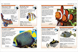 Ocean: Facts at Your Fingertips (Pocket Eyewitness) - Retail Maharaj