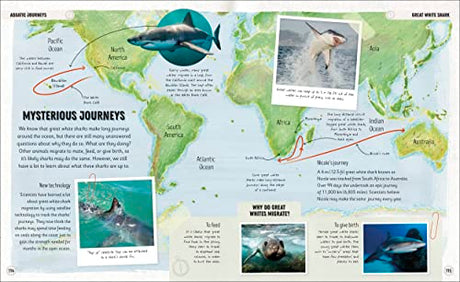 Amazing Animal Journeys: The Most Incredible Migrations in the Natural World - Retail Maharaj