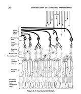 Introduction to Artificial Intelligence: Third Edition (Dover Books on Computer Science) - Retail Maharaj