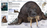 Knowledge Encyclopedia: Ocean! Our Watery World As You've Never Seen It Before - Retail Maharaj