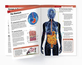 Human Body - Stomach And Digestive System: Knowledge Encyclopedia For Children - Retail Maharaj