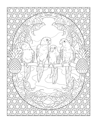 Creative Haven Tropical Wonders Coloring Book - Retail Maharaj