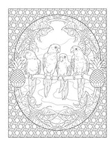Creative Haven Tropical Wonders Coloring Book - Retail Maharaj