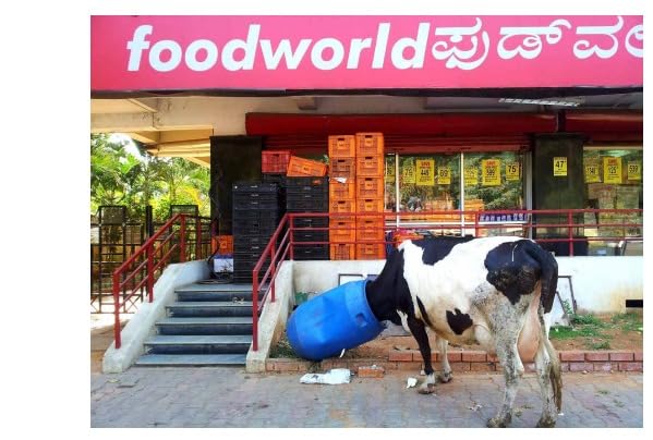 DEEP SEE - Retail Maharaj